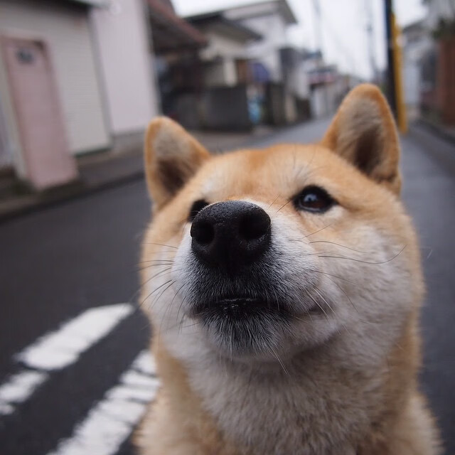九游娱乐-中国足球市场深度融合多行业，开启新产业链，中国足球产业发展现状
