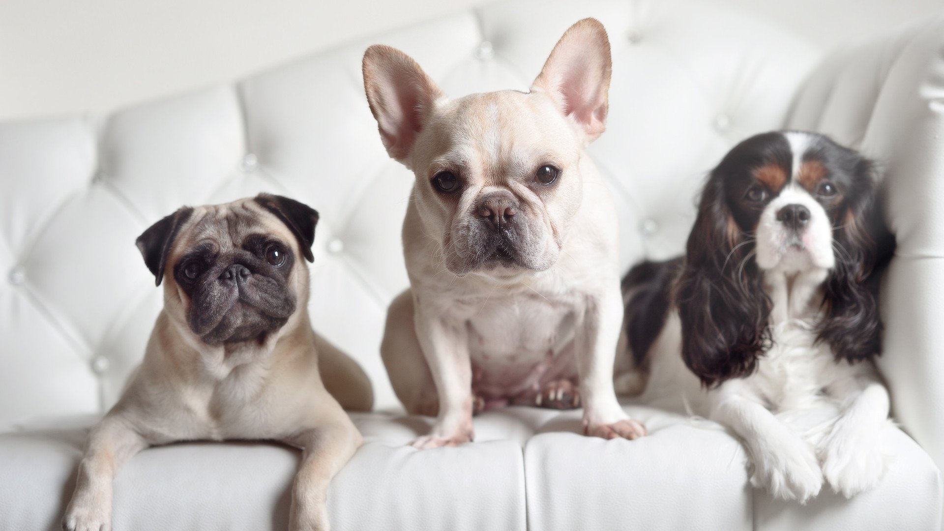 决赛惜败不掩光芒，西班牙获赞赏，西班牙经典比赛