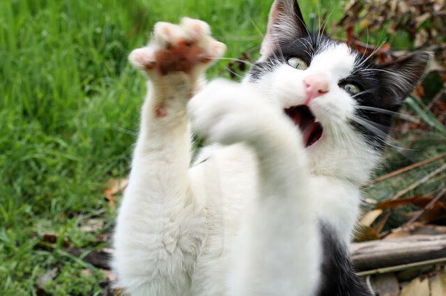 意甲球队不断引入高科技设备,提升训练质量,意甲球队实力