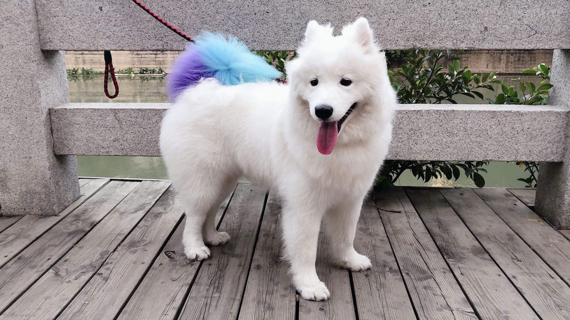 九游娱乐-意甲豪门激烈角逐：高价引入未来之星，意甲十大巨星