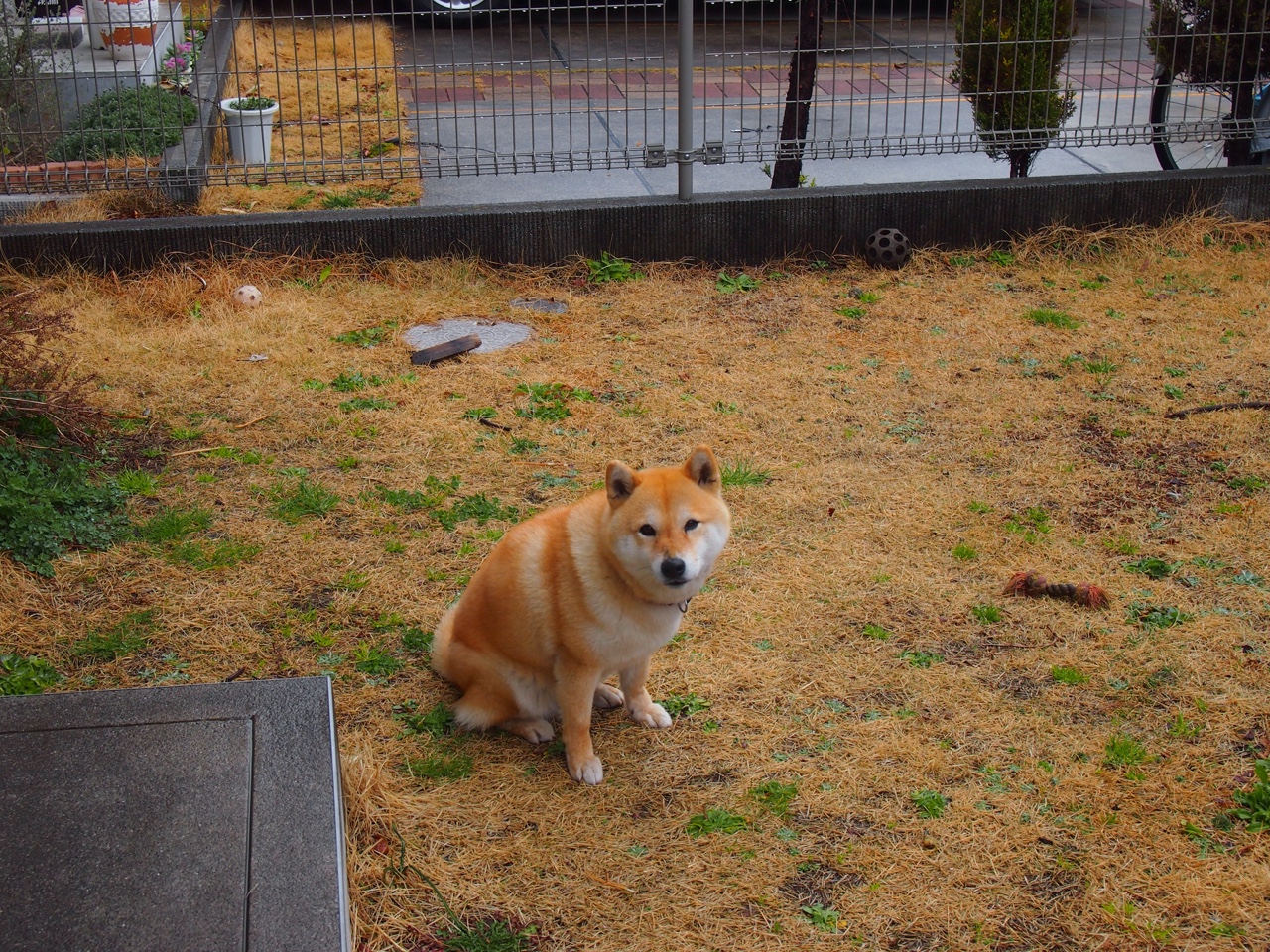 意甲:罗马1-0小胜都灵,队内气氛升温,意甲罗马比赛视频