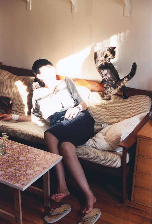 九游登录入口-最“萌”的比赛：球迷与动物的趣味互动，动物踢球的游戏