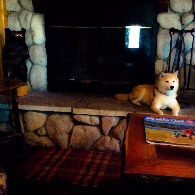 九游APP官网-英雄联盟新星挑战赛火力全开，期待新晋神话诞生，lol新星杯