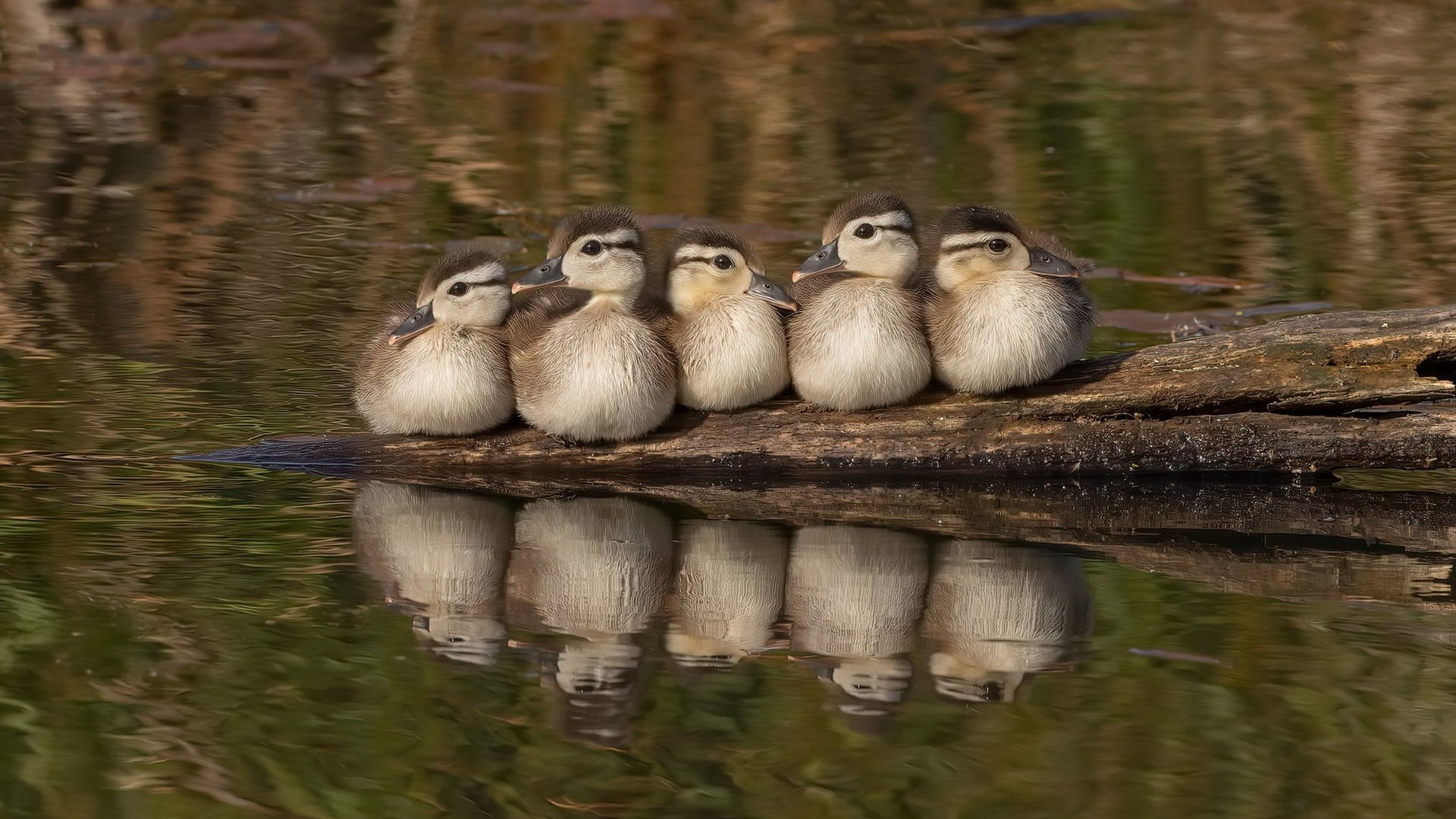 女足锦标赛搅动风云,强队备战如火如荼,女足青年锦标赛