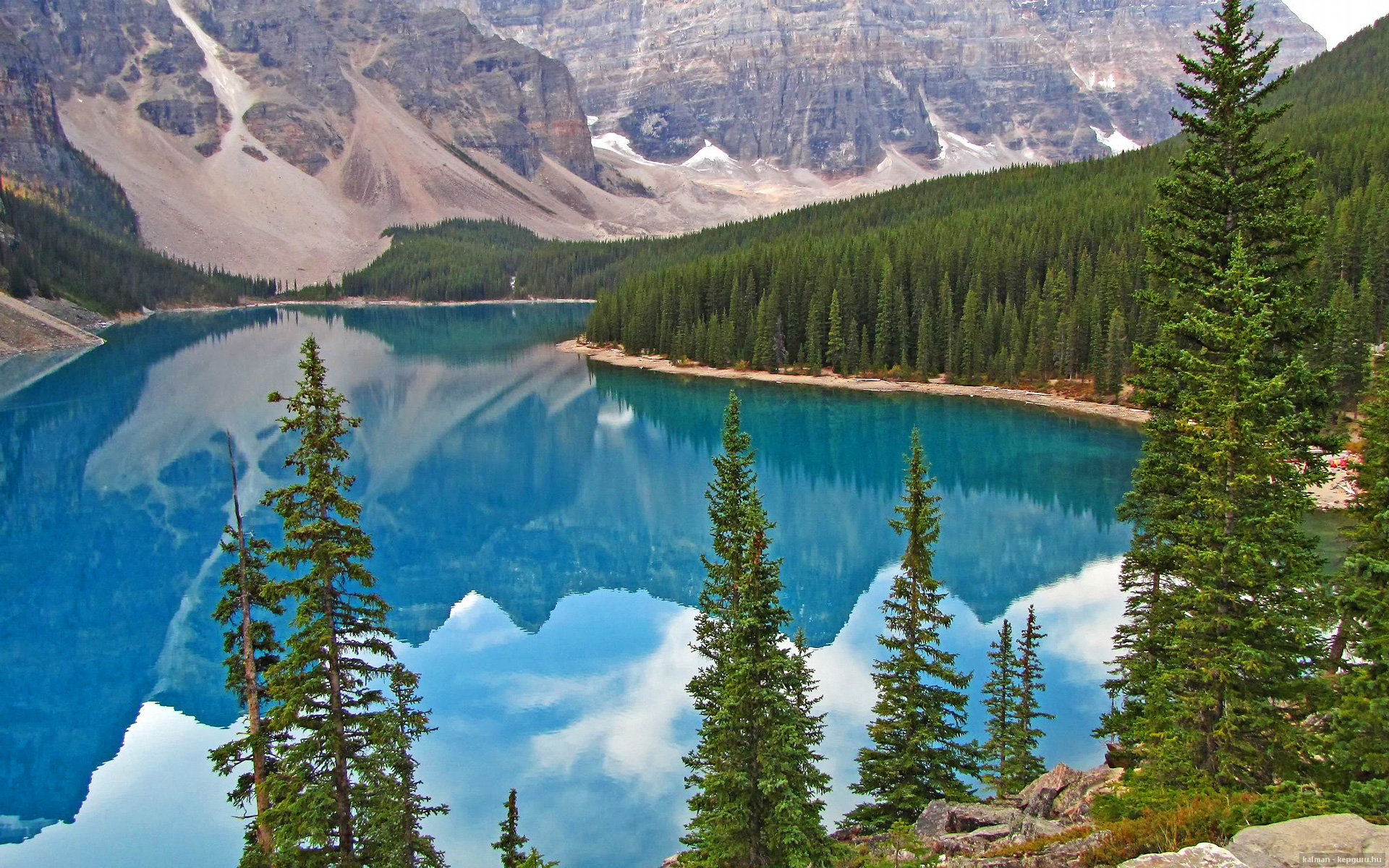 女足世界杯突破收视纪录，女足世界杯水平