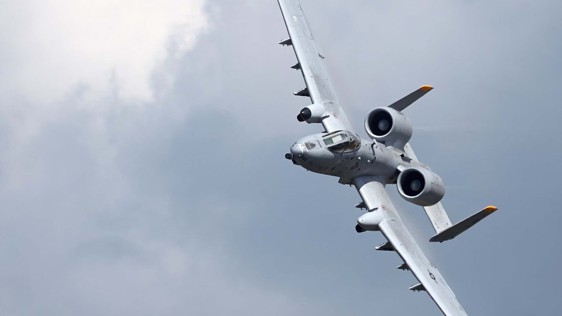 日本马术协会与大学合作,开展马术专业课程,培养专业人才。,日本东京马术俱乐部