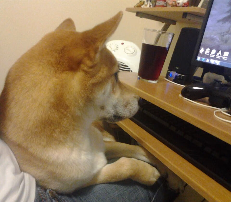 -火拼传奇！女足烽火再起，胜者才能笑到最后，女足锦集