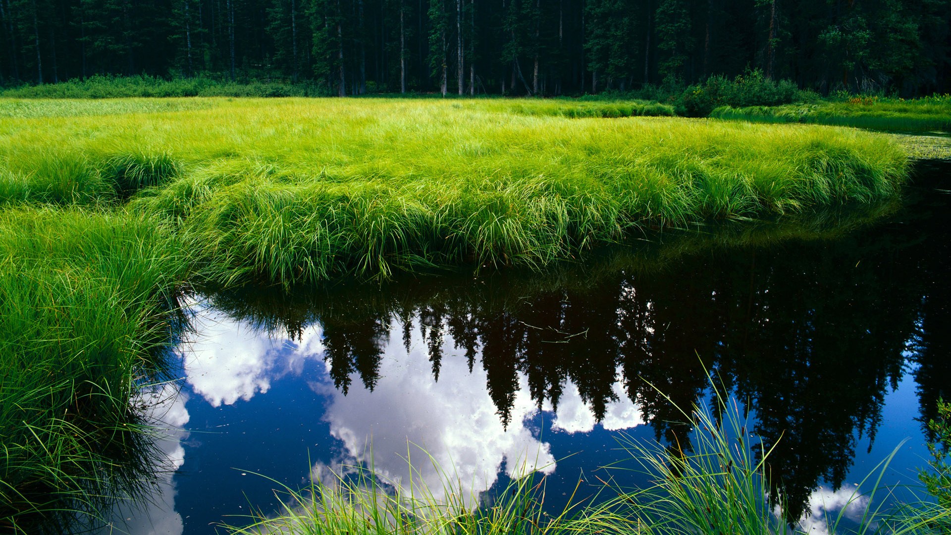 九游app官网下载-火箭核心持续低迷，球队陷入困境，火箭核心部分