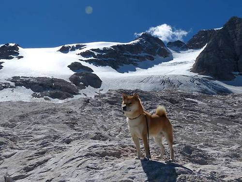 九游app下载中心-谢菲联遭遇回击，战略转变有待思考，谢菲联队