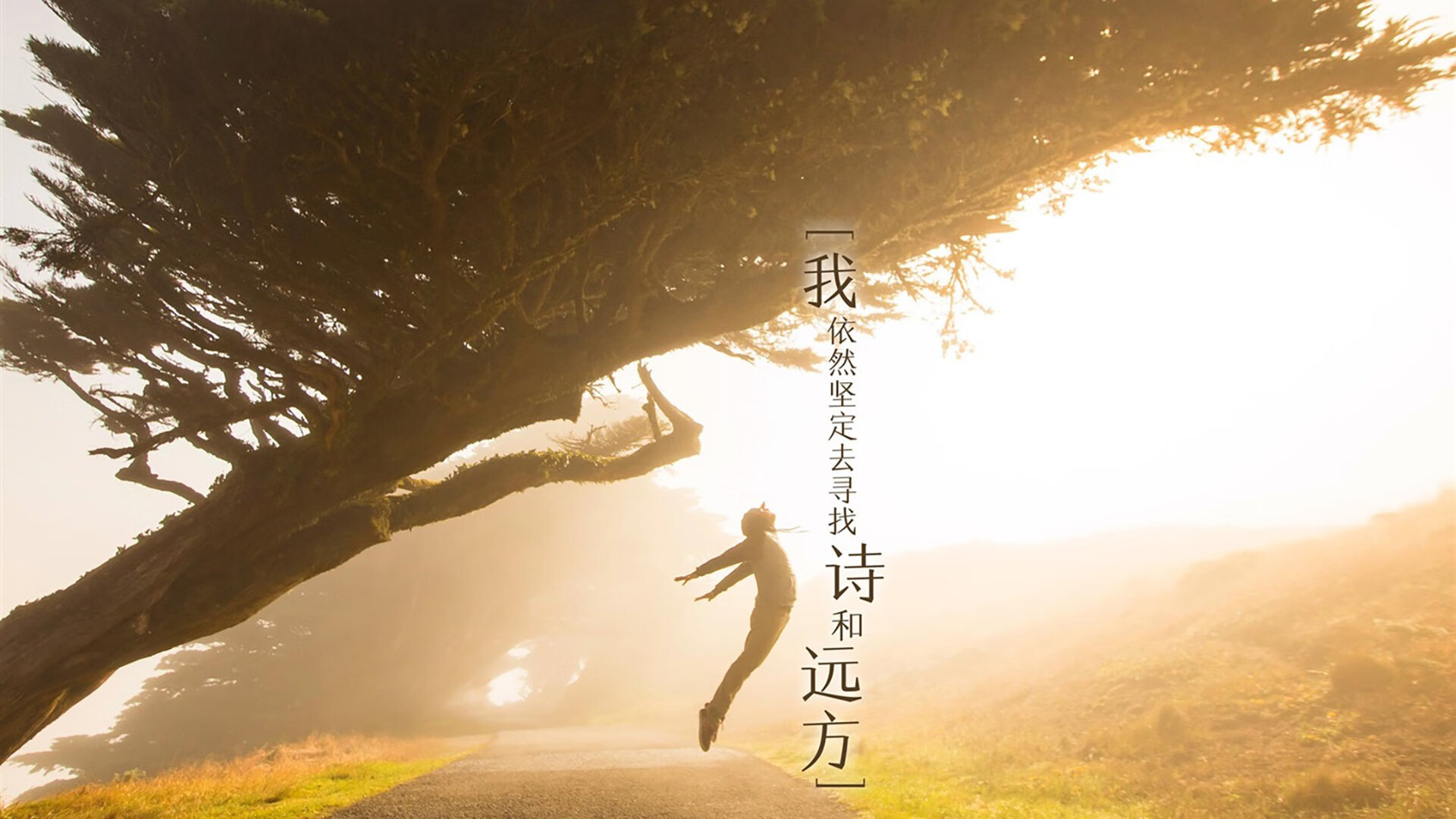 顶尖球队在比赛中展现出非凡实力,轻取三分,顶尖球员难度