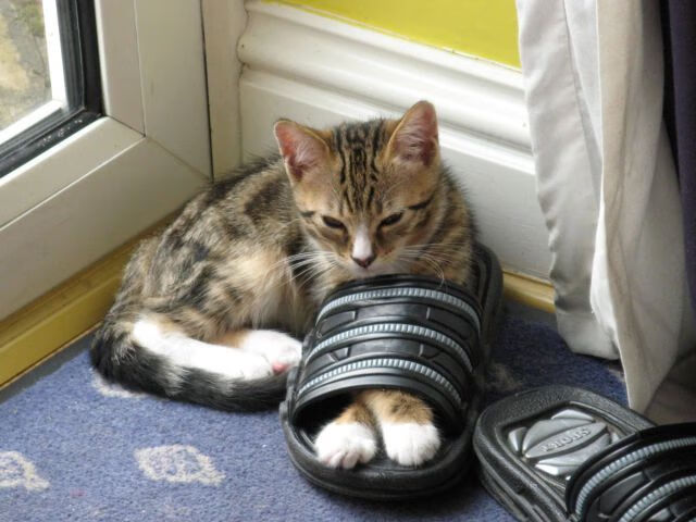 NBA联盟广告内容在不同市场的文化适应研究，nba广告商