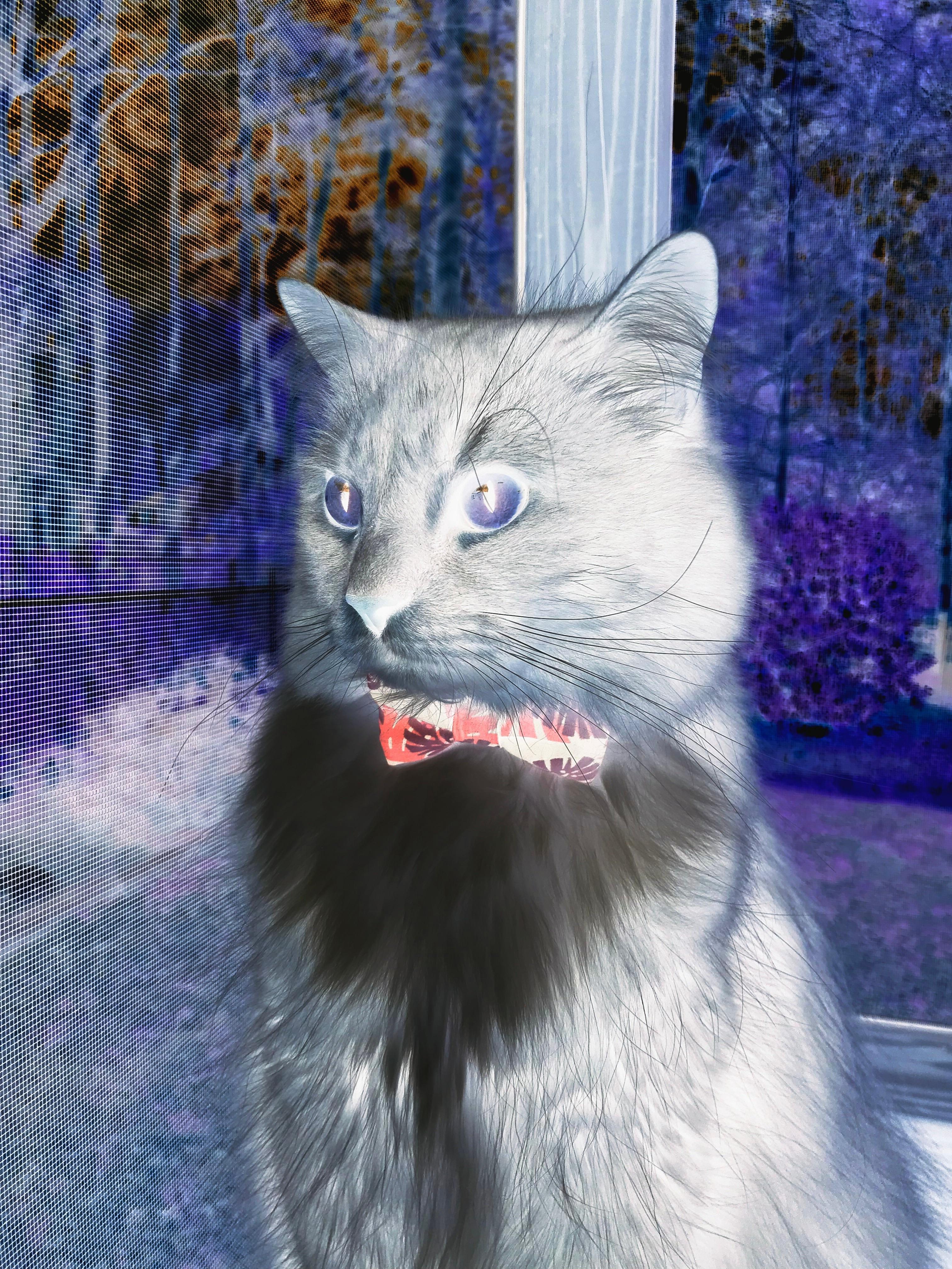 中国足球替补球员贡献率排名,中国足球替补球员贡献率排名榜