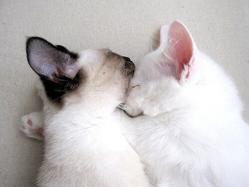 国足比赛得分方式分类整理,国足分组积分