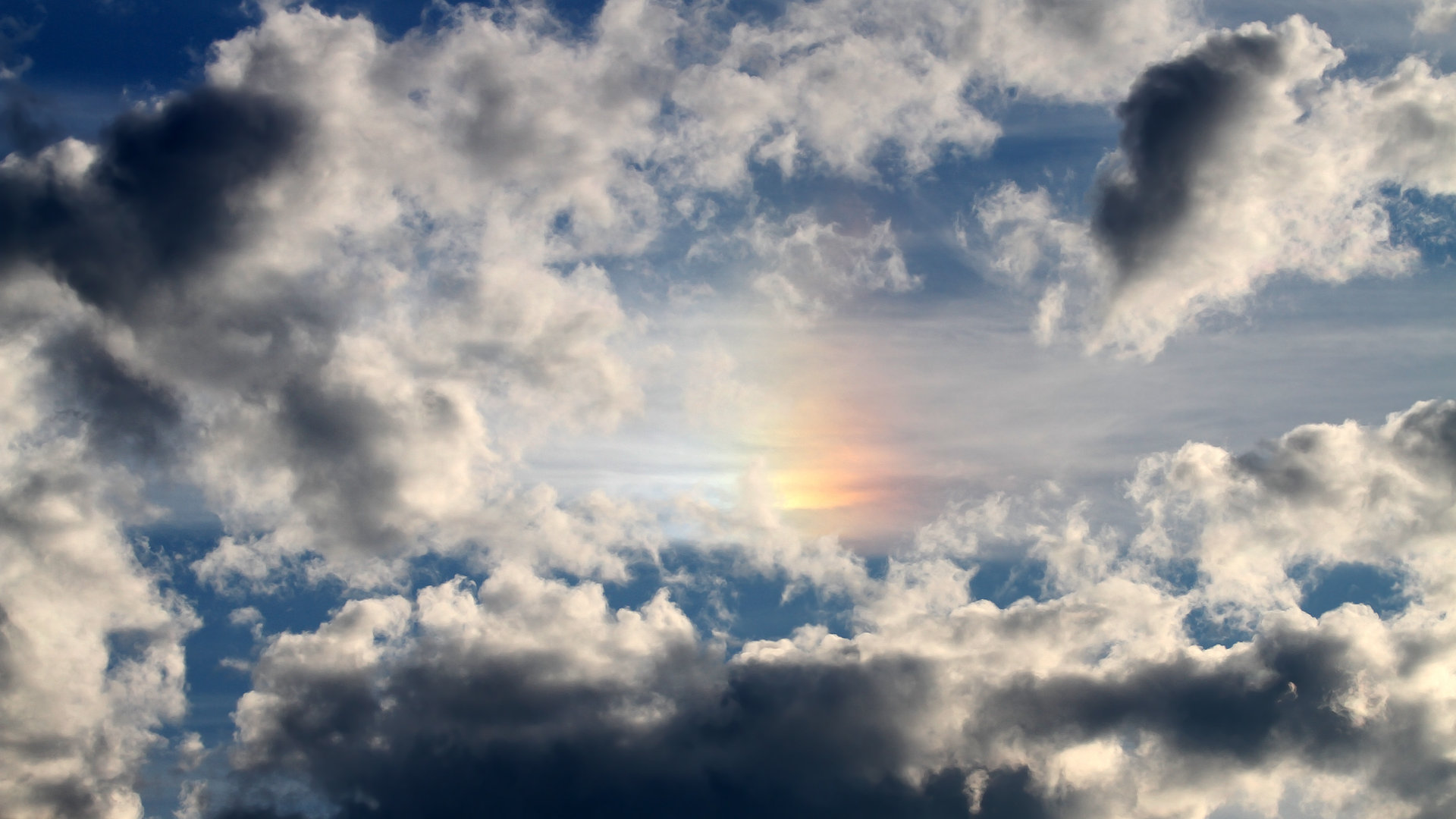 体育新闻中心主办体育新闻行业标准化建设大会，体育新闻标题怎么写