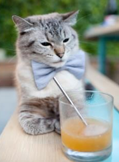 深圳领航队积极备战硬仗保持全员健康状态，深圳领航者队