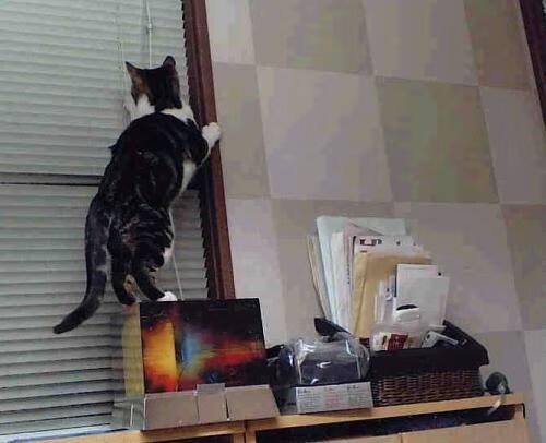 九游下载安装-球队心理调节是否成为数据模型评估重要维度，球队心理调节是否成为数据模型评估重要维度的内容