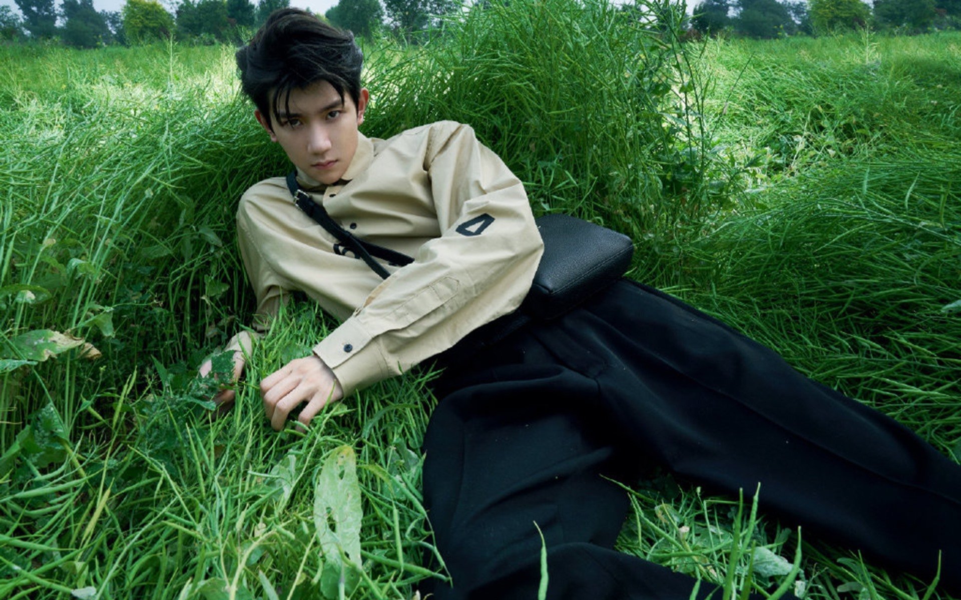 九游网页版官网-自由泳赛道划频波动数据首次发布，自由泳 划水频率