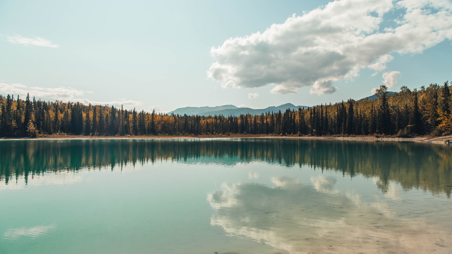 塞维利亚表现稳定,持续冲击欧洲赛事