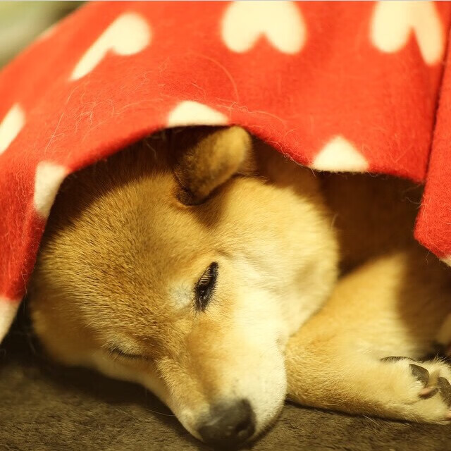 库里称球队需打出更加团队化篮球,库里尽力了队友cba