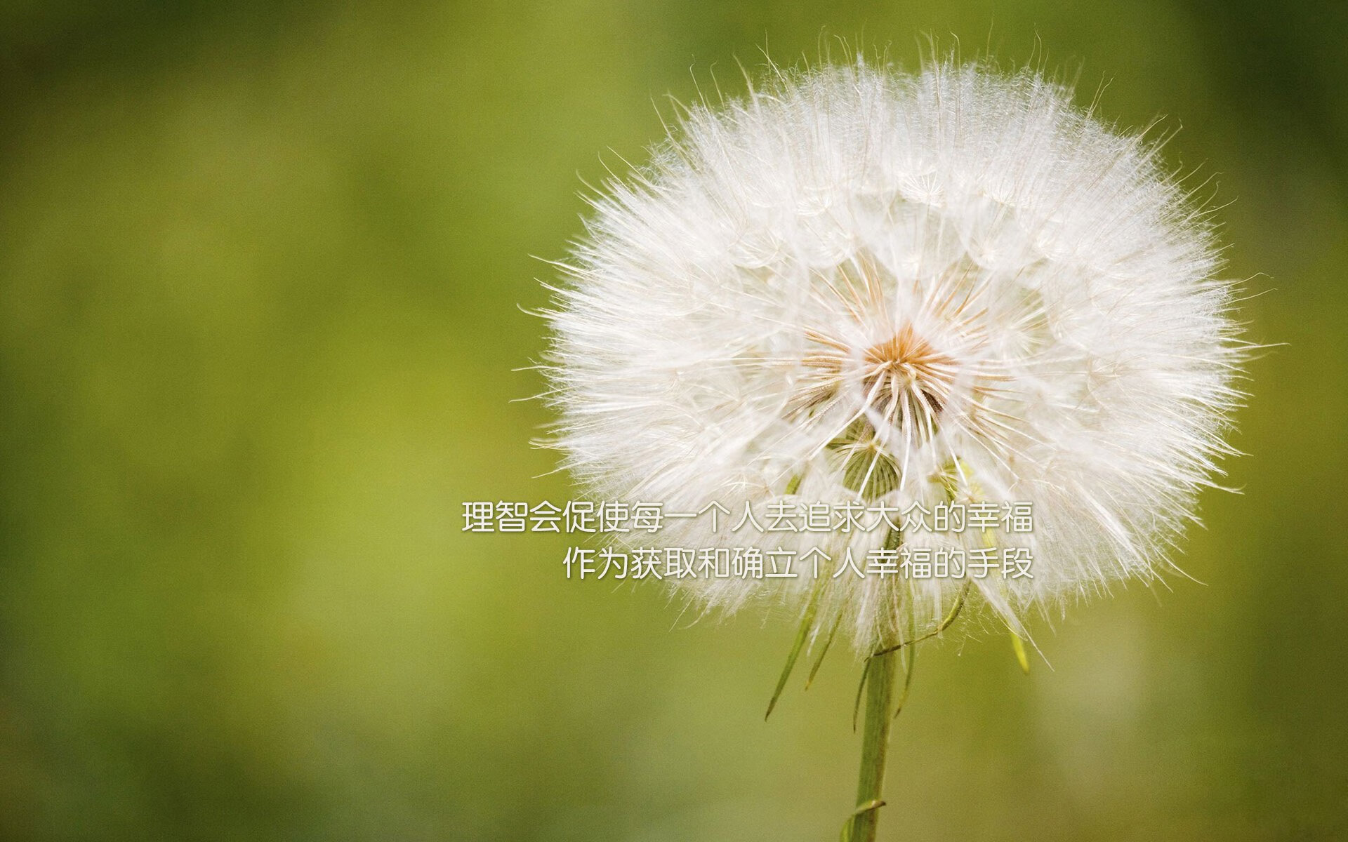 羽毛球训练基地智能监控系统投入使用，羽毛球智能管理系统