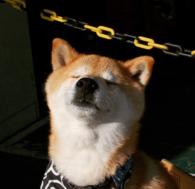 西甲强强对话：技战术交锋，精彩纷呈，西甲战果